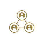 社会的なつながりの強化